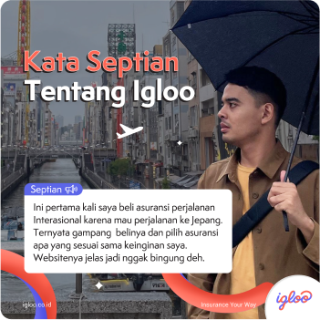 About Igloo